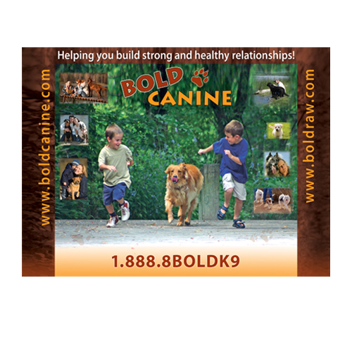 bold canine